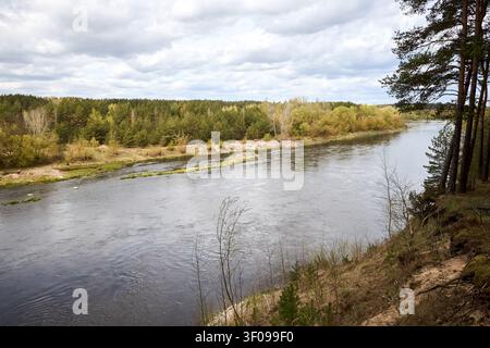 High bank Neman river in Hrodna Belarus with pine trees roots. Scenic landscape view forest water clouds sky. Nature environment travel destination Ea Stock Photo