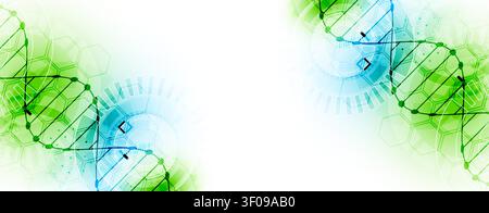 Abstract biotechnology background with a green and blue DNA double helix molecule and hexagonal patterns on a white background. Vector Stock Vector