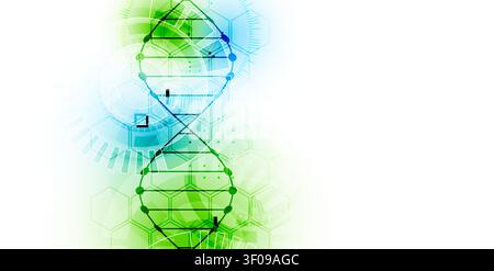 Abstract biotechnology background with a green and blue DNA double helix molecule and hexagonal patterns on a white background. Vector Stock Vector