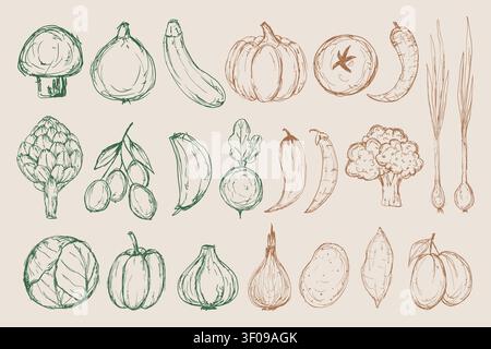 Sketch vegetables vector set. Hand drawn messy rough drawing of organic fresh vegetables for packaging, farmers market, menu, cookbook, posters. Farm Stock Vector