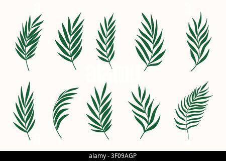 Palm leaves vector set. Tropical leaf collection, coconut and palm tree green branches isolated on white background Stock Vector