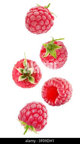 Raspberry collection isolated on white background. Stock Photo