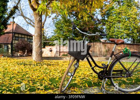Scenic autumn bicycle with wicker basket stands on cobblestone beside golden leaves and leafy tree. Rustic house, sunny park setting, and calm Stock Photo