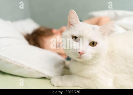 White cat lying on bed with alert curious eyes watching camera while person sleeps peacefully behind showing calm companionship. Attentive feline keeping watch beside resting owner in cozy bedroom Stock Photo