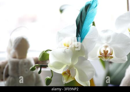 A close-up shot of delicate white orchid flowers with a bright turquoise feather tucked inside, set against a soft, bright background featuring a blur Stock Photo