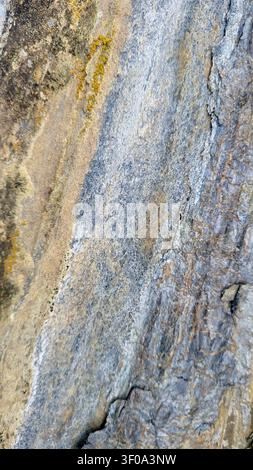 Close-Up of Flat Rock with Gray and Sand-Colored Tones in Swiss Nature Stock Photo