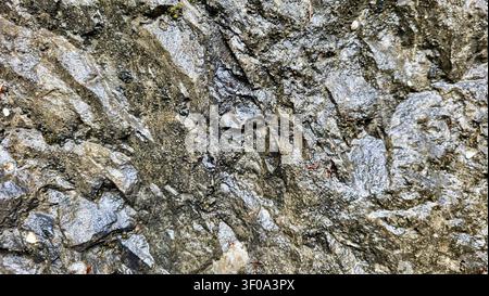 Close-Up of Dark Wet Rock with Golden Shimmer in Swiss Nature Stock Photo