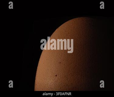 Extreme close-up macro photograph of a brown egg shell curve, lit dramatically from one side against a pure black background, revealing fine surface t Stock Photo