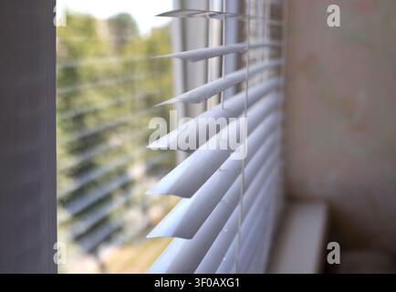 Dusty white window blinds close up view. Dirty plastic jalousie slats covered in dust layer require deep house cleaning and domestic washing chore on Stock Photo