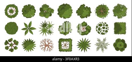 Top view trees. Architectural plans plant. Line landscape design elements, various green trees, bushes, plants for city architectural entourage space Stock Vector