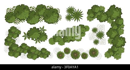 Architecture plant. Top view trees, bushes. Landscape plan with group trees, shrubs, bushes. Various green garden and park floor map elements. Vector Stock Vector