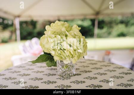 Light green hydrangea centerpiece in crystal glass on patio table Stock Photo