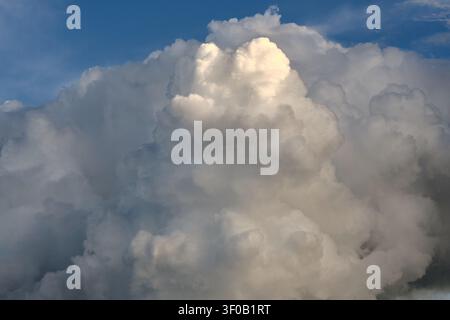Thick dramatic cumulus clouds fill blue sky before storm, backlit by warm golden sunlight Stock Photo