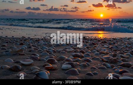 colorful sunset on the beach and seashells in the sand Stock Photo