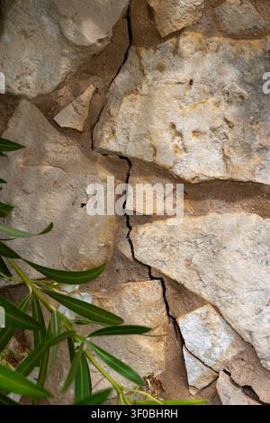 A detailed view of rough, irregular stones forming a wall, showcasing natural textures and a deep fissure, with hints of green foliage in the foregrou Stock Photo