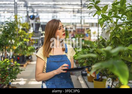 Female professional gardener working in a plant nursery, checking inventory and managing tasks on a digital tablet while observing the lush green plan Stock Photo