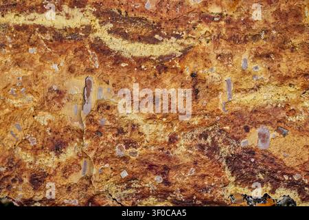 Close-up photo of natural birch bark surface with light, brown and reddish tones, stains, bark patterns Stock Photo