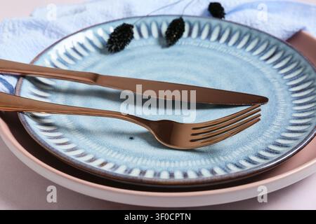 Close-up of empty plate with fork and knife Stock Photo