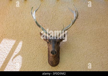 Deer antlers head wall decor mounted on textured plaster background in rustic style Stock Photo