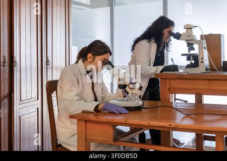 Two young female scientists in white lab coats working independently at a wooden lab table, each using a different microscope — stereo and compound — Stock Photo