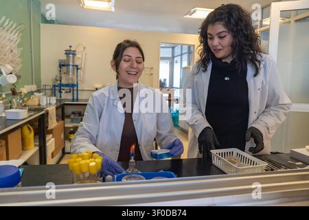 Two young female scientists in white lab coats smiling and laughing together at a laboratory bench with a lit alcohol lamp, culture tubes and petri di Stock Photo