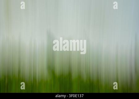 Abstract ICM (Intentional Camera Movement) background with vertical motion blur. Features a soft palette of emerald green and pale grey, evoking a min Stock Photo