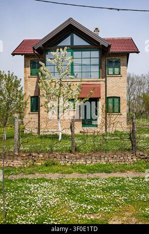 Two-story brick house with green shutters and a red tiled roof, featuring a large glass window and a blossoming tree in the front garden. Peaceful rur Stock Photo