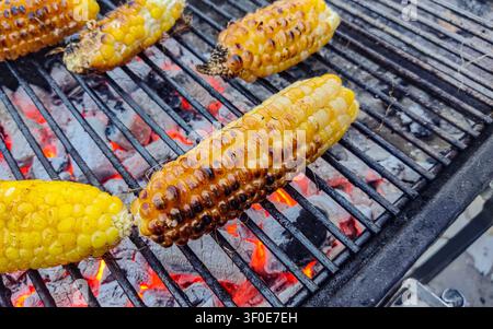 Golden corn cobs roasting on a charcoal grill with glowing coals. Showcasing delicious smoky corn, barbecue cooking, summer picnic vibes and outdoor g Stock Photo