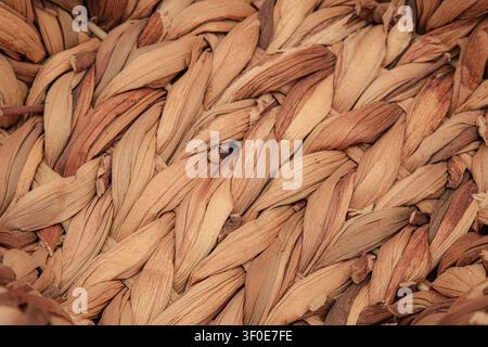 Macro photo of texture of a woven wicker or straw basket. Showing natural earthy tones, fibers and intricate handwoven craftsmanship. Representing of Stock Photo