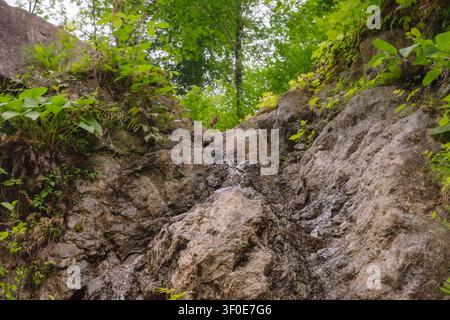 Small natural water cascade flows down a rugged, mossy rock cliff face. Stock Photo
