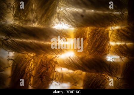 Tissue fibers at high magnification under the microscope Stock Photo