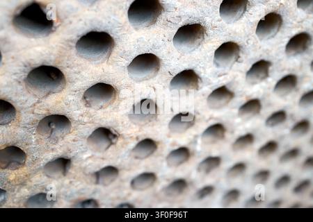 Close-up of weathered industrial metal plate featuring repeating circular holes. Surface shows heavy rust, corrosion, and aged texture. Perfect for en Stock Photo