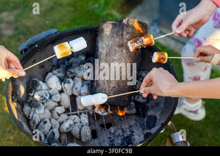 Marshmallows Roasting Over Charcoal Grill. Hands hold skewers with marshmallows roasting over a charcoal grill with ash, coals, flames, firewood, and Stock Photo