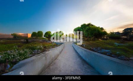 Sunlit paved path winding between tropical greenery in a landscaped seaside garden perfect for leisure and travel. Stock Photo