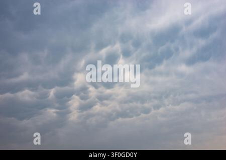 Dramatic mammatus clouds across a moody overcast sky, creating textured, pouch-like storm formations in soft blue-gray tones. Stock Photo