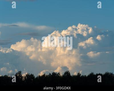 Large, white cumulus clouds over a forest in Quebec,Canada Stock Photo