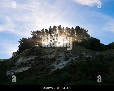 Dramatic sunbeams bursting through pine trees on a rocky hill ridge under blue sky during sunrise in the countryside of Kaikoura, New Zealand Stock Photo