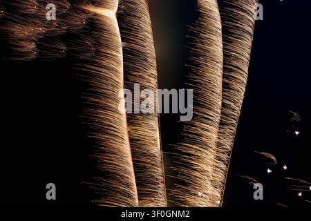 Thick, vertical cascades of golden firework light trails resembling a glowing waterfall against a black night sky. Stock Photo