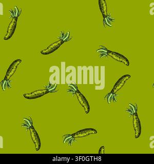 pattern wasabi root hand drawn. green sushi, food japan, ingredient asian, organic horseradish, gourmet raw wasabi root vector sketch illustration Stock Vector