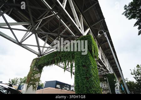 Low angle view of steel bridge supports covered in green ivy Stock Photo