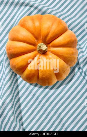 orange color pumpkin on striped linen tablecloth, top view, sunny lights Stock Photo