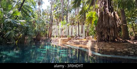 View of Mataranka Thermal Pool and Rainbow Springs with crystal clear turquoise water surrounded by lush tropical palm trees and stone steps in Matara Stock Photo
