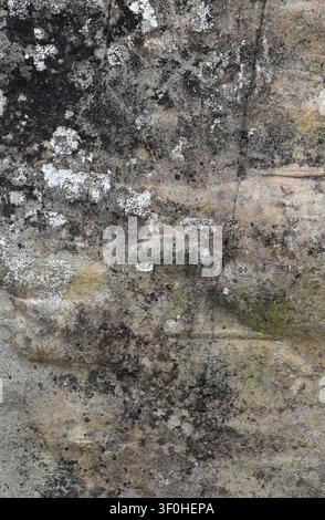 Vertical close up of a weathered stone boulder surface with tan coloration, variegated black and white patches, porous uneven texture Stock Photo