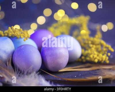 Colorful Easter eggs, pastel colored purple, blue, yellow mimosa, bokeh garland Stock Photo