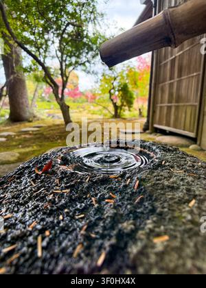 View of a traditional stone water basin with a bamboo spout dripping water, creating ripples in a serene Japanese garden with autumn foliage in Nara, Stock Photo