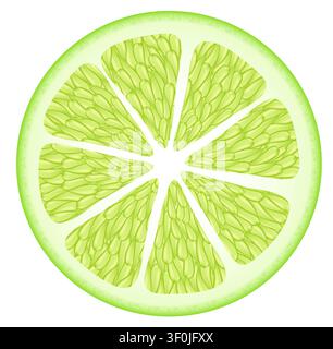 Orange fruit, leaves, orange slices , lime. Orange vector illustration isolated on transparent, png. Design element for packaging paper, labels and co Stock Photo