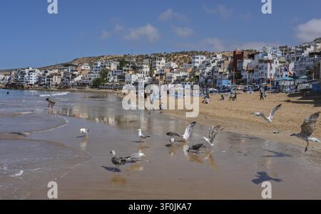 View of seagulls on the sandy beach with people relaxing and white buildings in the background in Taghazout, Souss-Massa, Morocco. Stock Photo