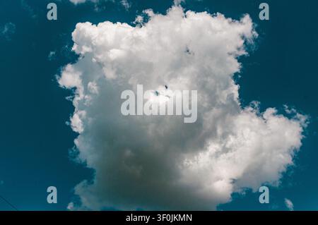 A large, fluffy, white cumulus cloud floats in a deep blue sky. The image captures a sense of peaceful, natural beauty and bright daylight. Stock Photo