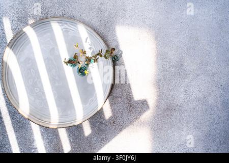 Minimal still life of a small vase holding yellow woodsorrel, common yellow oxalis, on a pale plate, with strong window light casting soft striped sha Stock Photo