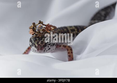 Close-up of a leopard gecko lizard resting on soft white fabric, wearing ornate crown jewelry. Reptile portrait with whimsical styling. Stock Photo